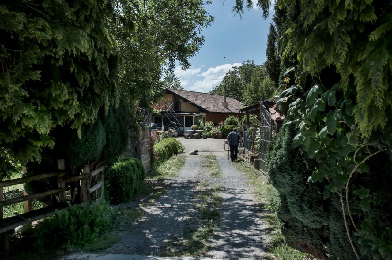 La Locanda Degli Elfi Viggianello Exterior foto