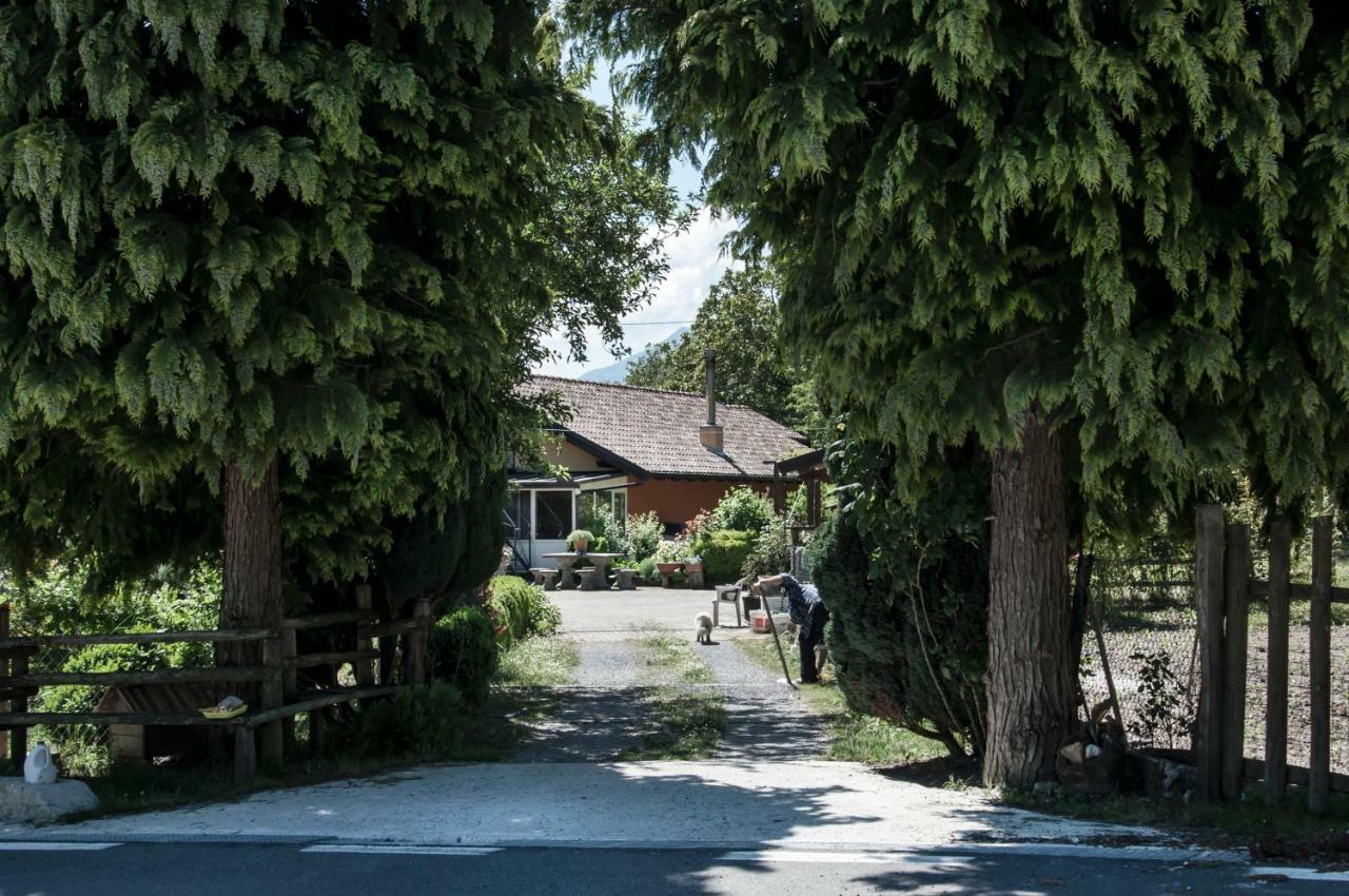 La Locanda Degli Elfi Viggianello Exterior foto